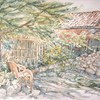 Sany3859_thumb
