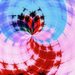Candy-luna_square