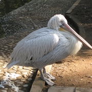 Img_0960_card