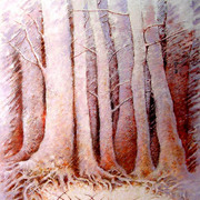 Nel_mio_bosco