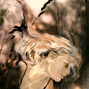 Wwebb_by_lovelycristina_card