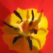 Img_0071_card