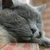 Laura_new_digital_025_tiny_square