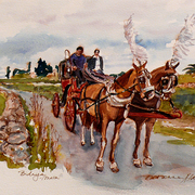 Bidnija_card
