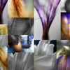 Collages1web_thumb