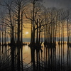 _dsc4343_thumb