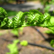 Img_4984_card