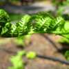 Img_4984_thumb