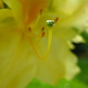 Img_5110_thumb