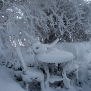 Winter_scene_card