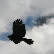 Img_8556_copy_card