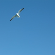 Img_1341_card