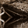 Image113d_thumb