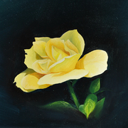 Yellow-rose_card