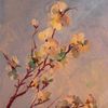 Apricot_tree_april_06_thumb