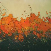 Orangepoppies1_card