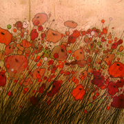 Wildpoppies_card