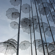 Blue_rain_1_card