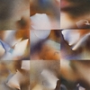 Lall_catalogue14_thumb