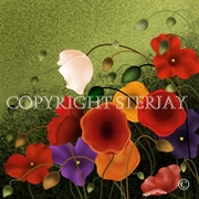 Wild_poppies_card