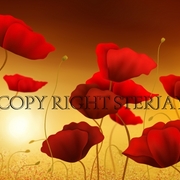 Sunshine111_card