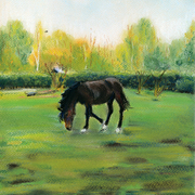 Early_autumn_at_lo_card
