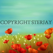 Poppies_card