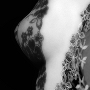 Eva_g8726web_card