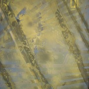 Abstract_2_card