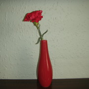 Gedc0085_card