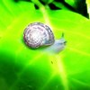 Dsci23422432aa_thumb