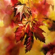 Autumn_14x14_s_card