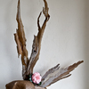 Ikebana-112_thumb