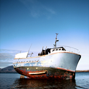 Fenit_collection_02_card