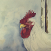 Rooster_2t_thumb