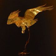 Eagle008_card