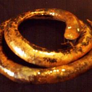 Snake004_card