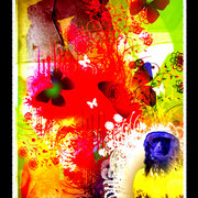 A3-foret-magique_card
