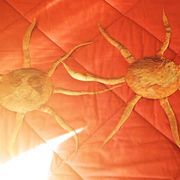 Sun005_card