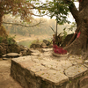 China_old_trees_for_web-site_thumb