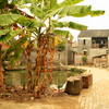 China_stups_by_lake_1_thumb