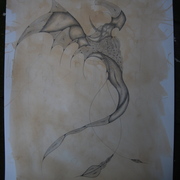 Img_9884_card