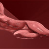 Nu_1_thumb