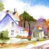 Homestead_web_thumb