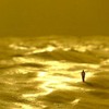 Scape2_thumb