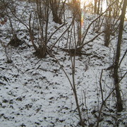 Img_6246_card