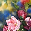 Flowering_maple_s_thumb