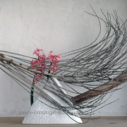 Ikebana-022_card
