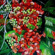 P1000330_web_small_card