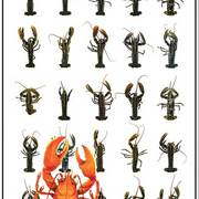 Lobster20002_card
